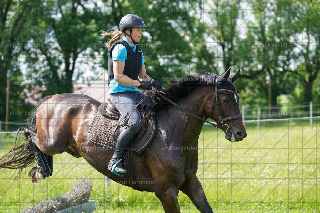 20240622-FAH07844 | Turnierfotografen Bayern, Reitsportbilder aus dem Geländekurs mit Felix Etzel auf dem Gut Waitzacker 2024