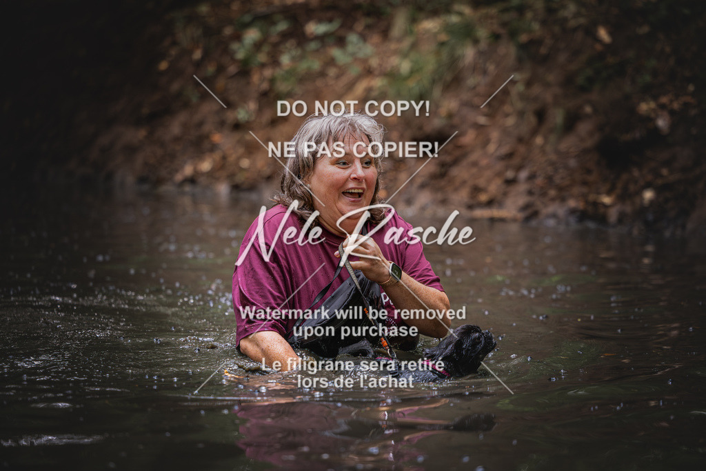 nelerasche_SaWingst1300-1400_207 | nelerasche