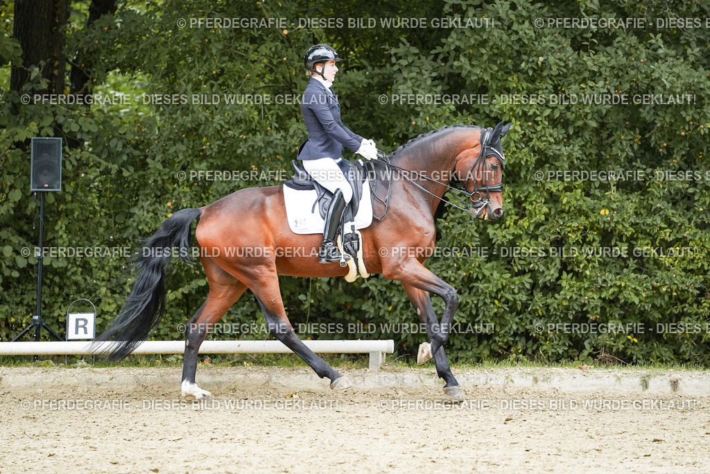 DSC07173 | Pferdegrafie