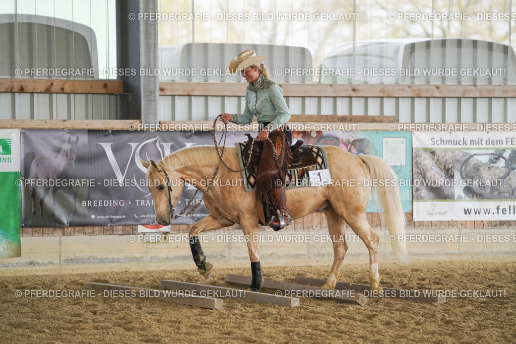 DSC01088 | Pferdegrafie