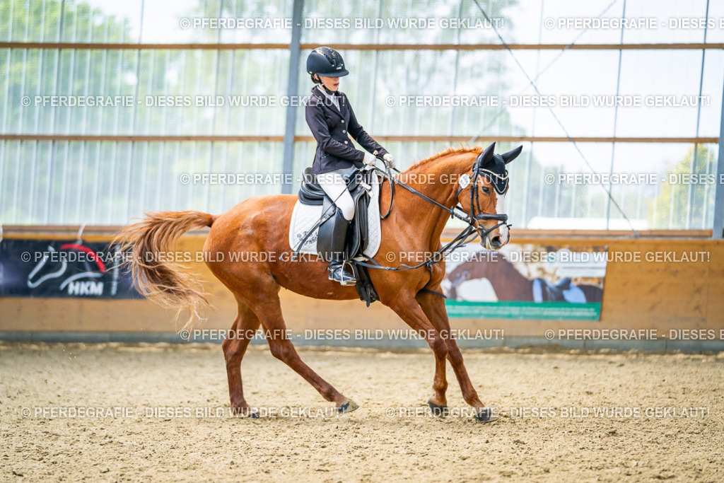 DSC04329 | Pferdegrafie