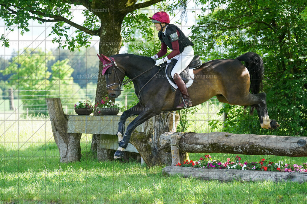 20240518-FAH04115 | Turnierbilder von Niederseon, Turnierfotografen Bayern, Fotoagentur Herrmann, Geländebilder, Reitsportfotografie