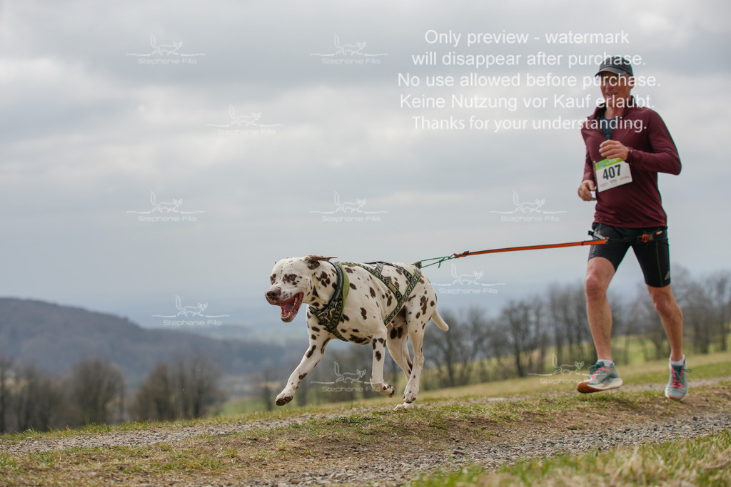 CaniXRunSA-58 | stephaniefillaphotographie - Realisiert mit Pictrs.com