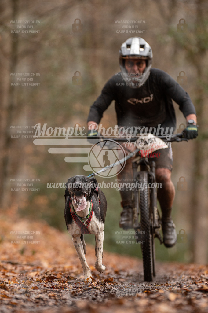 SPA_2023_DIM_Bike-12 | PayLife