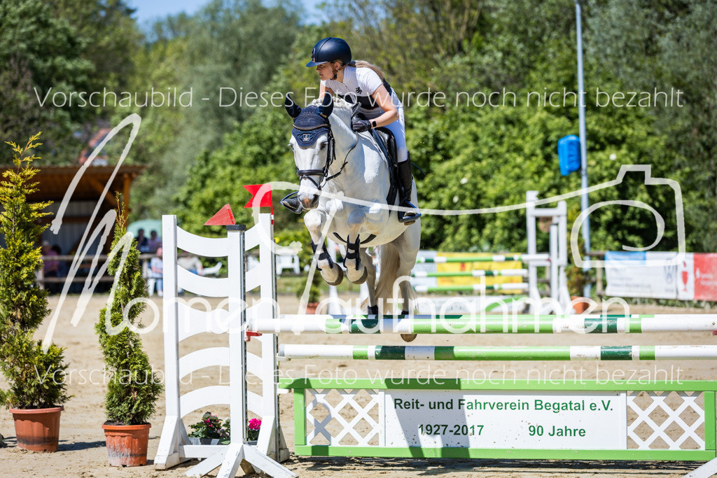 Donop24-Stil-L-038 | MomenTaufnahmen Pferdesportfotos