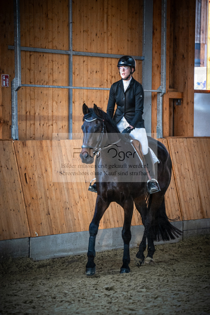 DOS_0898 | Entdecke hochwertige Reitturnierfotos von Foto Oger. Professionell, emotional und authentisch – jetzt Lieblingsmomente im Shop bestellen.Deutschlandweite Turnierfotografie. - Realisiert mit Pictrs.com