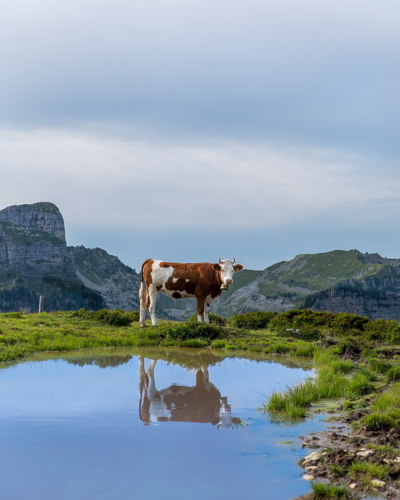 IMGP8324-HDR | Carismarkus, Fotografie, Lost Places, Urbex, Stilvoll, Akt, Nude, Fine Arts, Adventure, Beauty in decay - Realisiert mit Pictrs.com