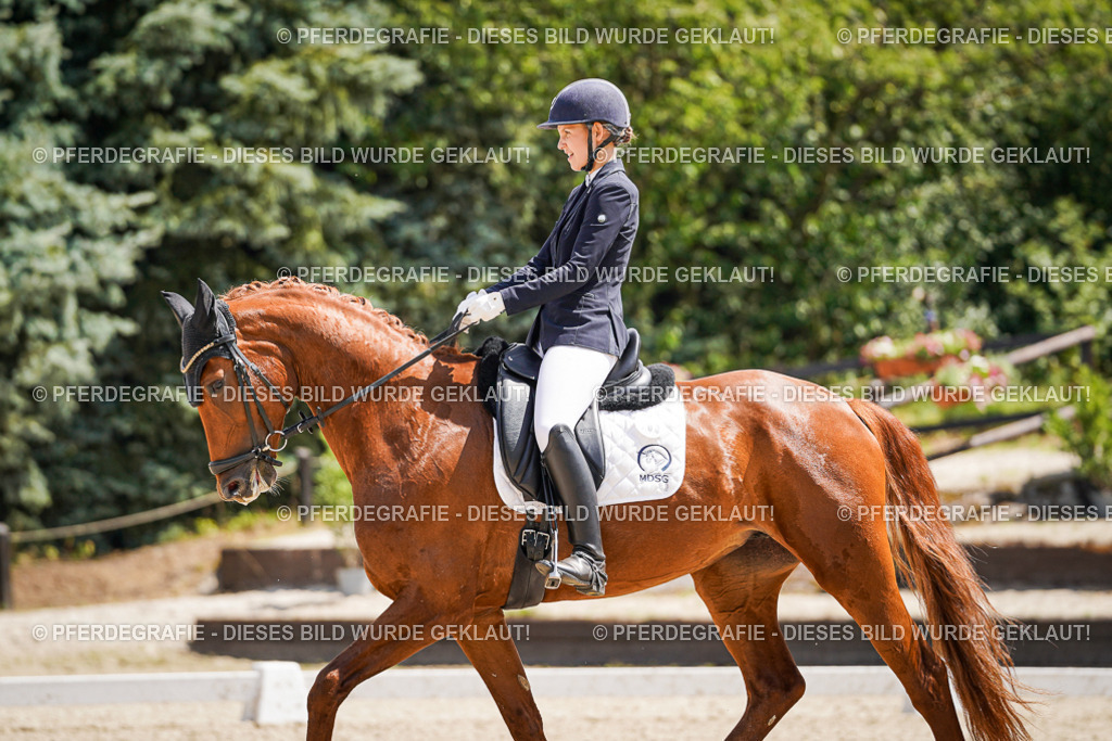 DSC01215 | Pferdegrafie