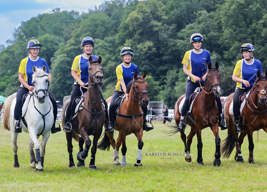 1B3A3237 | Reitsport Reiten