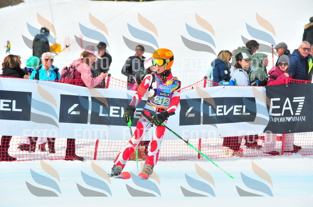 DSC_1953 | holidayphoto