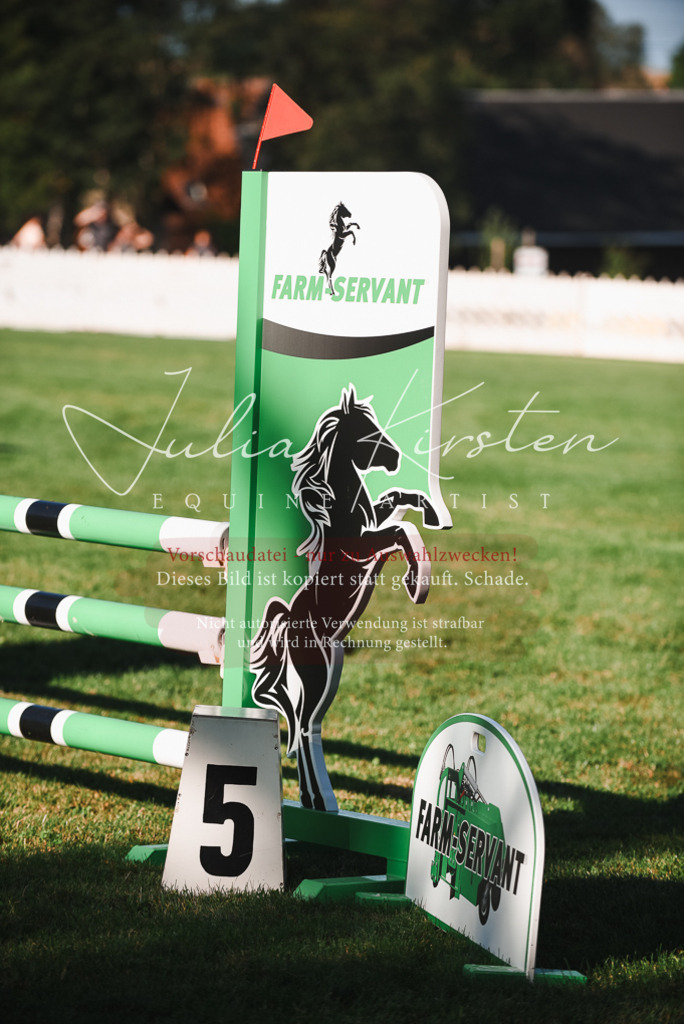 DSC_2136 | Pferde- und Turnierfotografie in Westsachsen. Pferdeportraits, Auftragszeichnungen und intuitive Kunst.