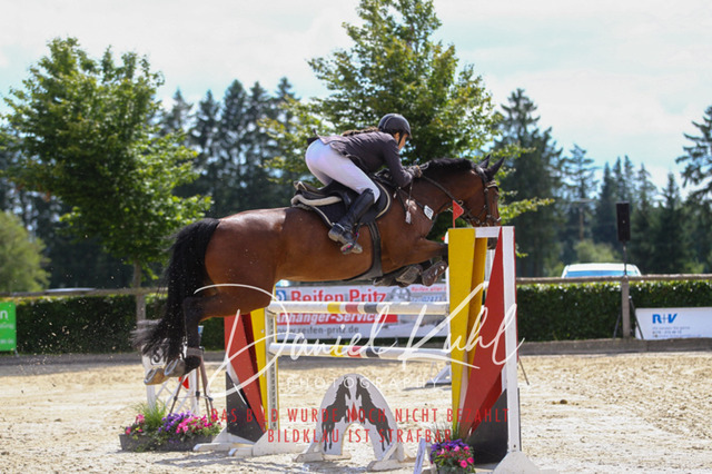 Monschau25_PktM_0017 | Turniersportfotografie; Pferdefotografie; Dressurfotografie