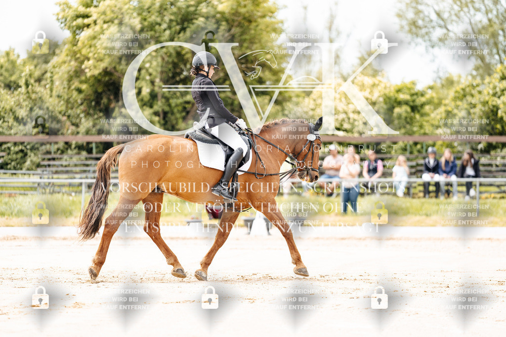 CK902674 | Turnierfotografie Pferdefotografie Trier Rheinland-Pfalz Pferdesport Reitsport Tierfotografie Sportfotografie Pferdevideo Pferdevideografie Equestrianvideography equestrianphotography  - Realisiert mit Pictrs.com