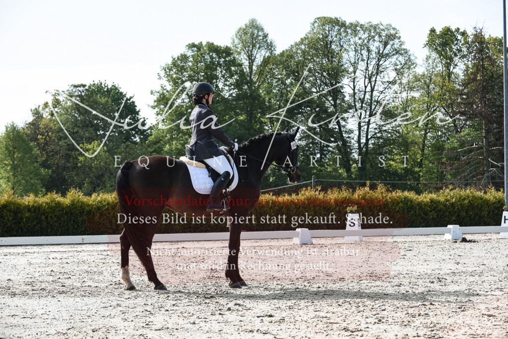 20230518_JK-Röhrsdorf-09-1006 | Pferde- und Turnierfotografie in Westsachsen. Pferdeportraits, Auftragszeichnungen und intuitive Kunst.