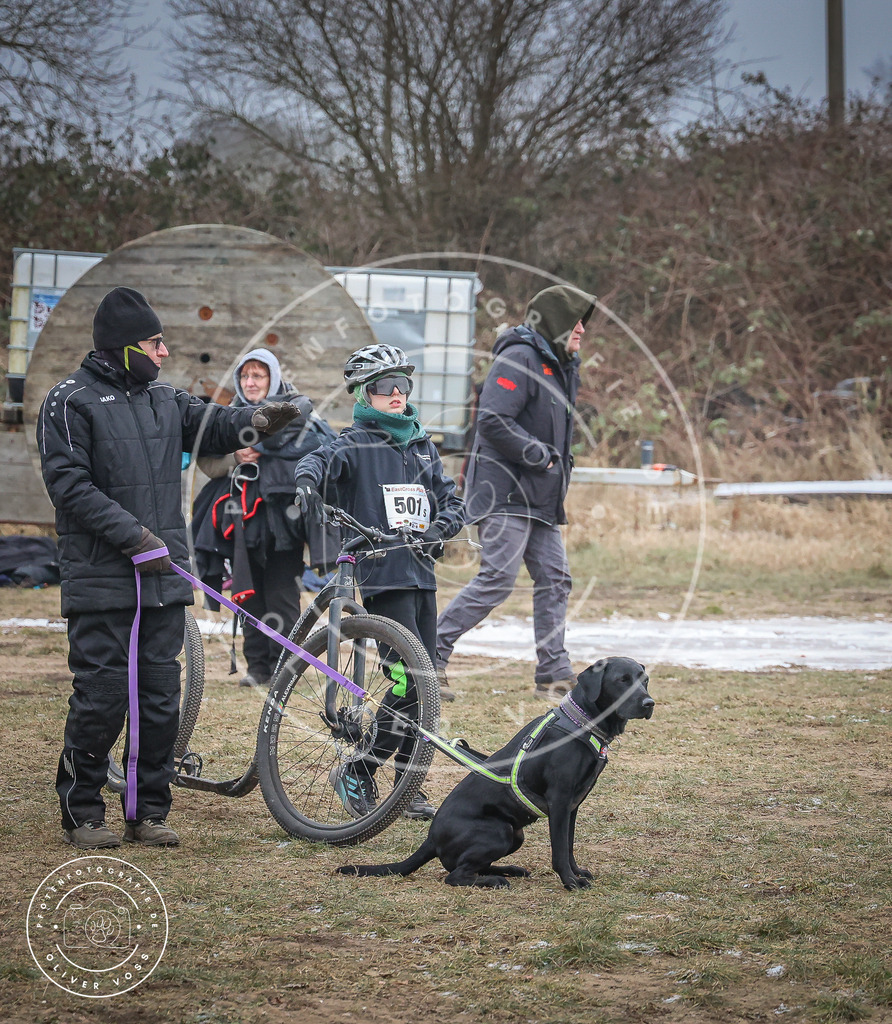 Pfotenfotografie_0L8A2205 | Hundefotografie, Tierfotograf, Pfotenfotografie, Fotoshooting Hund, Hunde Portrait, Hundesport, Hundeportraits, Heideshooting, Hunde, Sportfotograf, Hundefotograf, Turnierhundsport, THS,  - Realisiert mit Pictrs.com