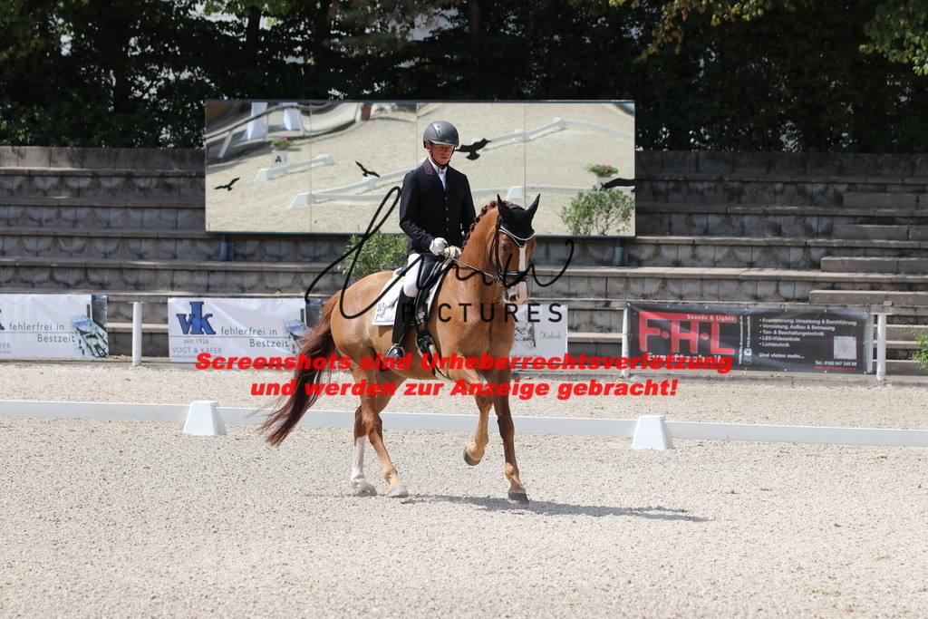 IMG_4306 | lmwpictures - Realisiert mit Pictrs.com