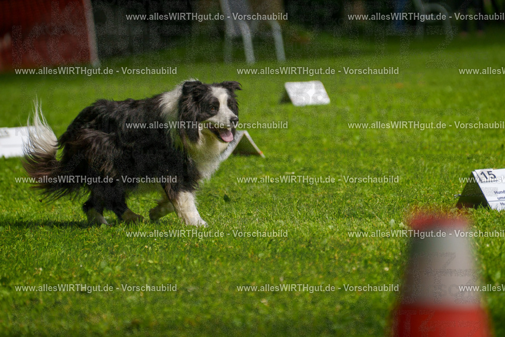 @allesWIRTHgut_Tierfotografie - www.allesWIRTHgut.de - 7R502732 | Professionelle Tierfotografie in Mönchengladbach von Daniel Wirth (allesWIRTHgut). Liebevolle & natürliche Bilder von Hunden & Katzen für unvergessliche Erinnerungen.