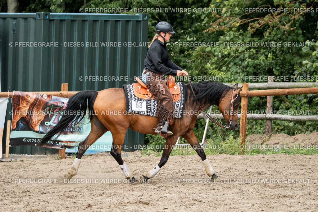 DSC02014 | Pferdegrafie