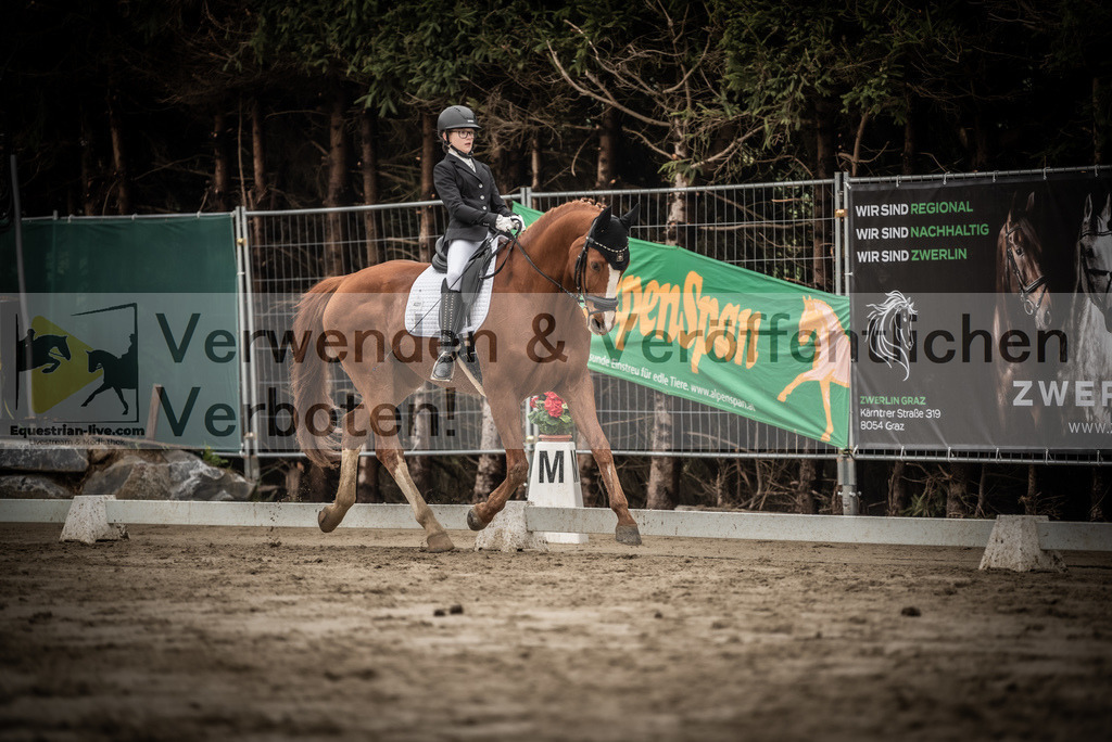 DSC_0264 | equestrian-live-com
