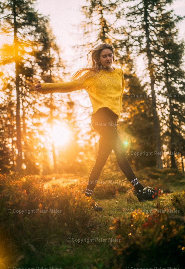 Roana_Alm_Herbststimmung_Erlebnisraum_Wald_23_Peter_Maier-348 | piet_flosse