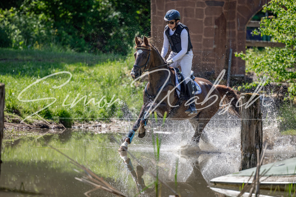 20260523-_3LI7489 | Tierfotografie Pferde, Hunde, Katzen, Haustiere.
Turnierfotografie Reitturniere, Reiten, Springreiten, Dressur in Hanau, dem Main-Kinzig-Kreis und dem Rhein-Main- Gebiet um Frankfurt