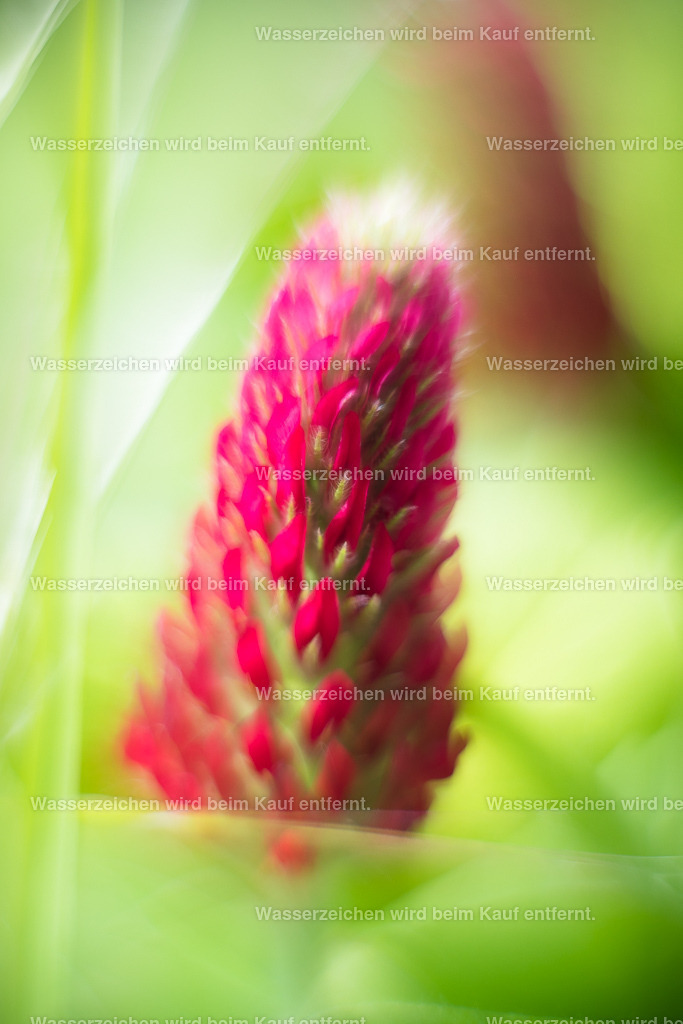 Die Kraft ist in Dir | Die Botschaft zum Bild lautet: Nutze die Kraft der Erde. Nutze die Kraft, die dir Mutter Erde gibt und gebe diese Kraft weiter. Lasse es durch dich durchfließen. Diese Energie ist unwahrscheinlich kraftvoll.