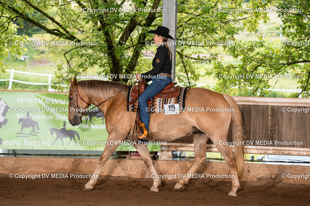 Erbach Tag 1-365 | dv-media-shop - Realisiert mit Pictrs.com