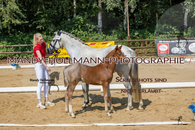 Ganderkesee-288 | mandyhollmannphotographie