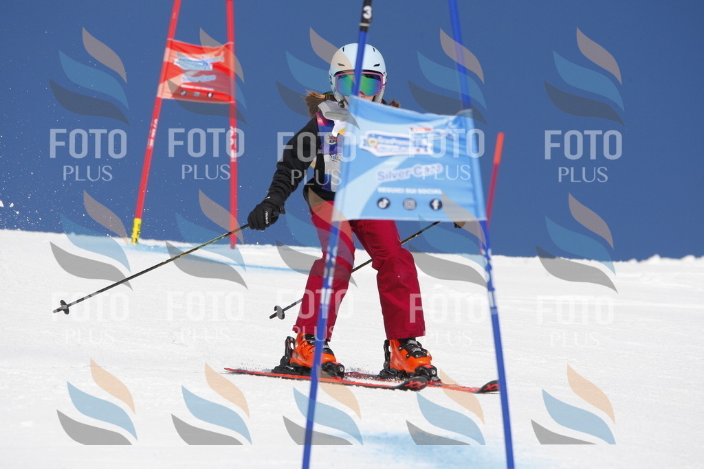 _W1G1844 | holidayphoto