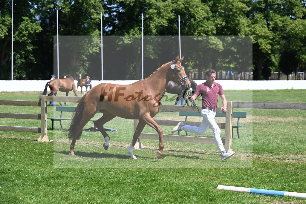 Kat-Nr. 43 Bonjour la Rouge K v. Dynamic Dream_Silvestre_19250826 | hf-fotografie - Realizzato con Pictrs.com