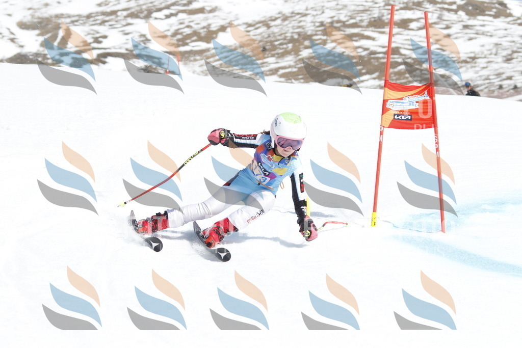 _U3G1604 | holidayphoto