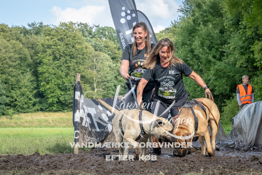 1713_ZZ91491-Bearbeitet | kk-dogfotos
