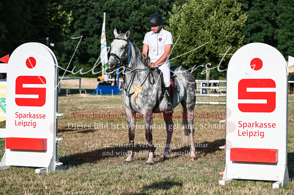 DSC_3198 | Pferde- und Turnierfotografie in Westsachsen. Pferdeportraits, Auftragszeichnungen und intuitive Kunst.