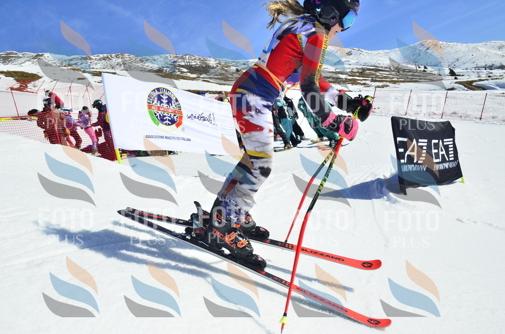 _ELE9709 | holidayphoto