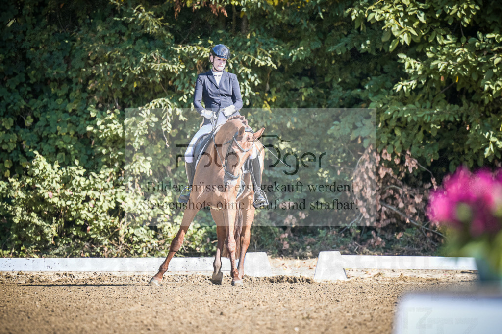 DOS_1978 | Entdecke hochwertige Reitturnierfotos von Foto Oger. Professionell, emotional und authentisch – jetzt Lieblingsmomente im Shop bestellen.Deutschlandweite Turnierfotografie. - Realisiert mit Pictrs.com