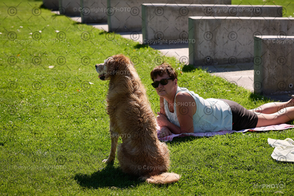 075_202509_4Hundebadetag_NZ9_2336 | proPHOTO - Realisiert mit Pictrs.com