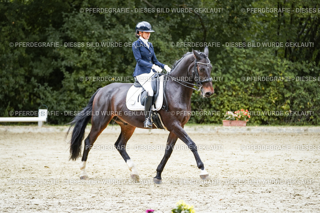 DSC00649 | Pferdegrafie