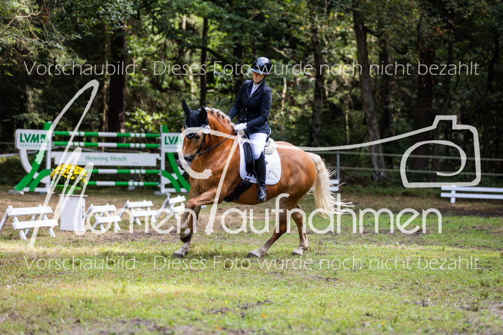HB-Dressur-WB-050 | MomenTaufnahmen Pferdesportfotos
