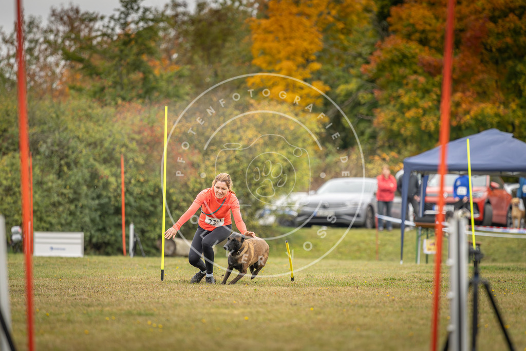 Pfotenfotografie_DV3A4090 | Hundefotografie, Tierfotograf, Pfotenfotografie, Fotoshooting Hund, Hunde Portrait, Hundesport, Hundeportraits, Heideshooting, Hunde, Sportfotograf, Hundefotograf, Turnierhundsport, THS,  - Realisiert mit Pictrs.com