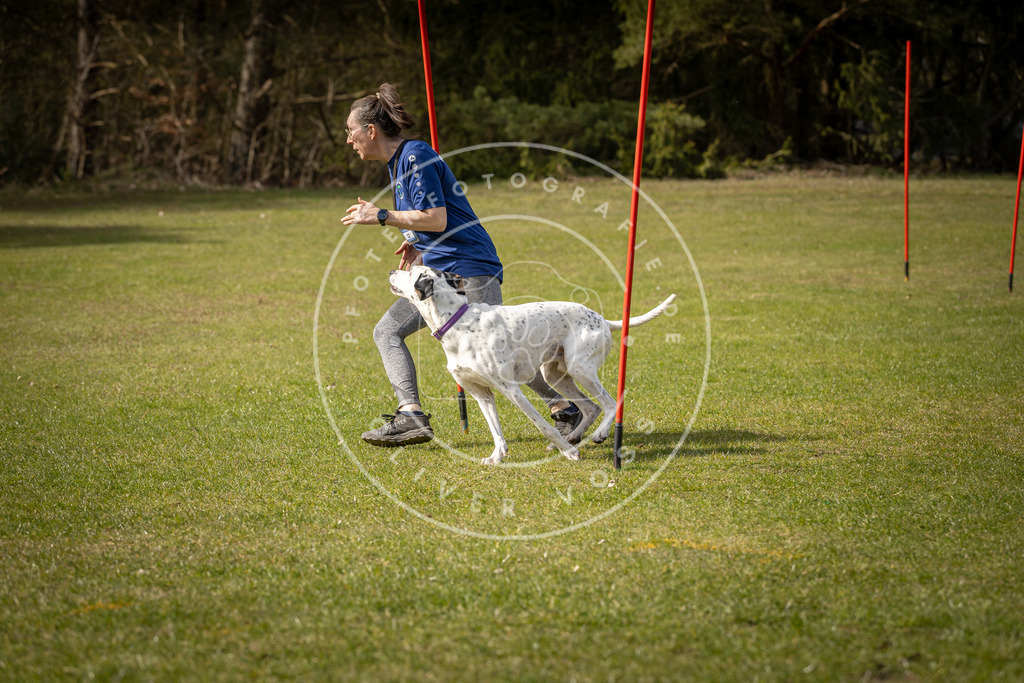 Pfotenfotografie_DV3A0053 | Hundefotografie, Tierfotograf, Pfotenfotografie, Fotoshooting Hund, Hunde Portrait, Hundesport, Hundeportraits, Heideshooting, Hunde, Sportfotograf, Hundefotograf, Turnierhundsport, THS,  - Realisiert mit Pictrs.com