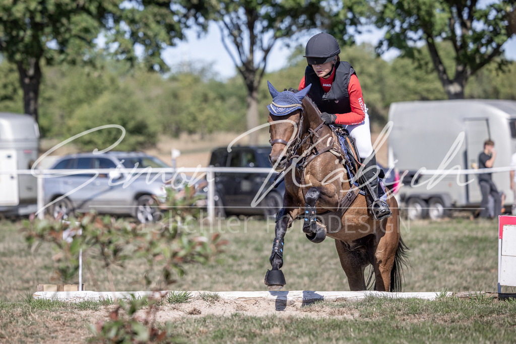 20260906-_3LI2959 | Tierfotografie Pferde, Hunde, Katzen, Haustiere.
Turnierfotografie Reitturniere, Reiten, Springreiten, Dressur in Hanau, dem Main-Kinzig-Kreis und dem Rhein-Main- Gebiet um Frankfurt