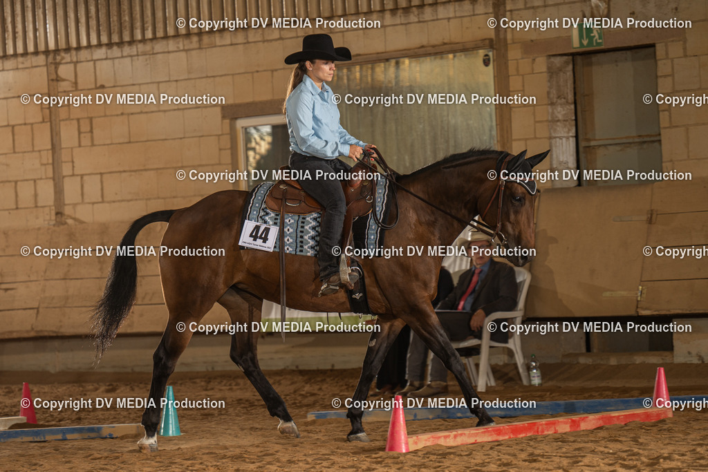 NID02531 | dv-media-shop - Realisiert mit Pictrs.com