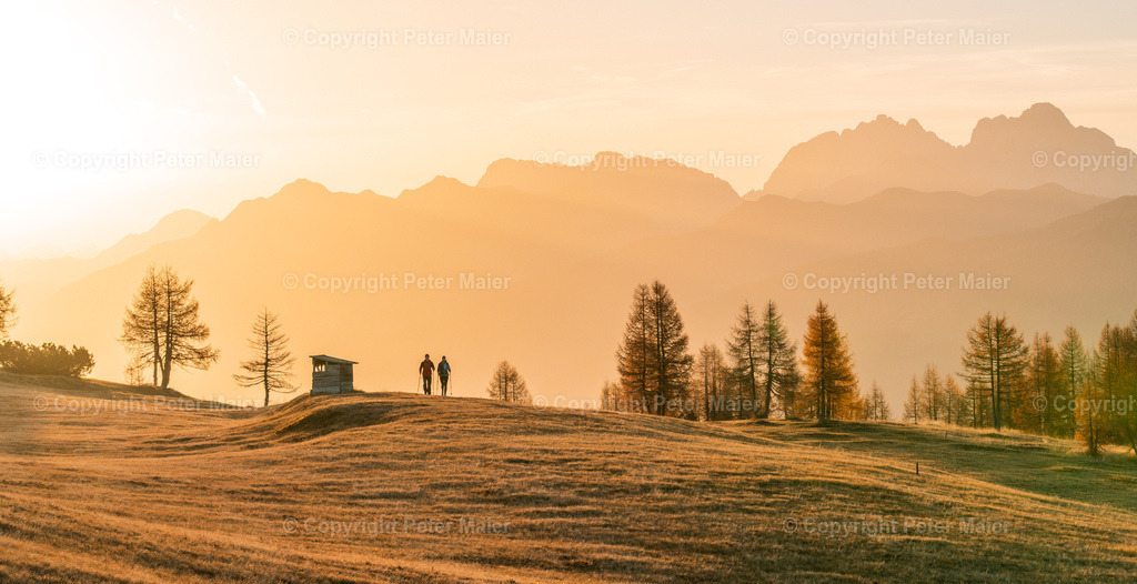 Samalm_Herbst_Lesachtal_2022-1489 | piet_flosse