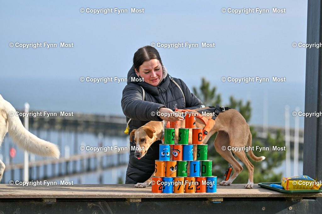 DSC_5273 | Hallo und herzlich Willkommen auf meiner Shop-Seite Fynn Most.

Ich wünsche Dir viel Spaß beim stöbern durch die Bilder, wenn Du Fragen hast oder Bilder vermisst, kannst du mir gerne eine Nachricht schreiben. - Realisiert mit Pictrs.com