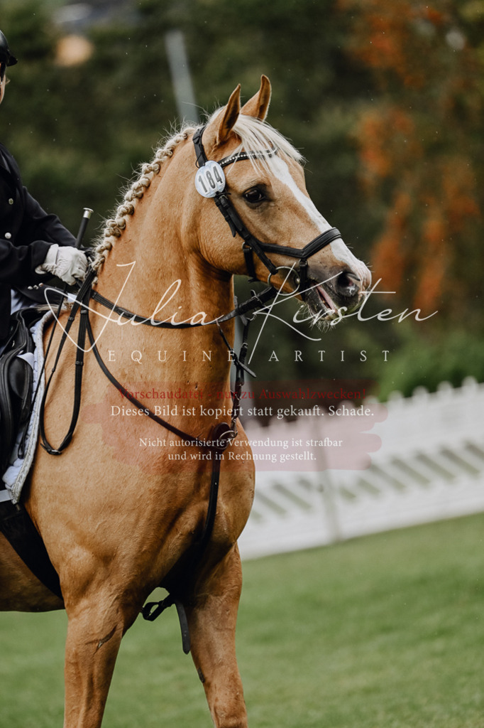 DSC_6880 | Pferde- und Turnierfotografie in Westsachsen. Pferdeportraits, Auftragszeichnungen und intuitive Kunst.