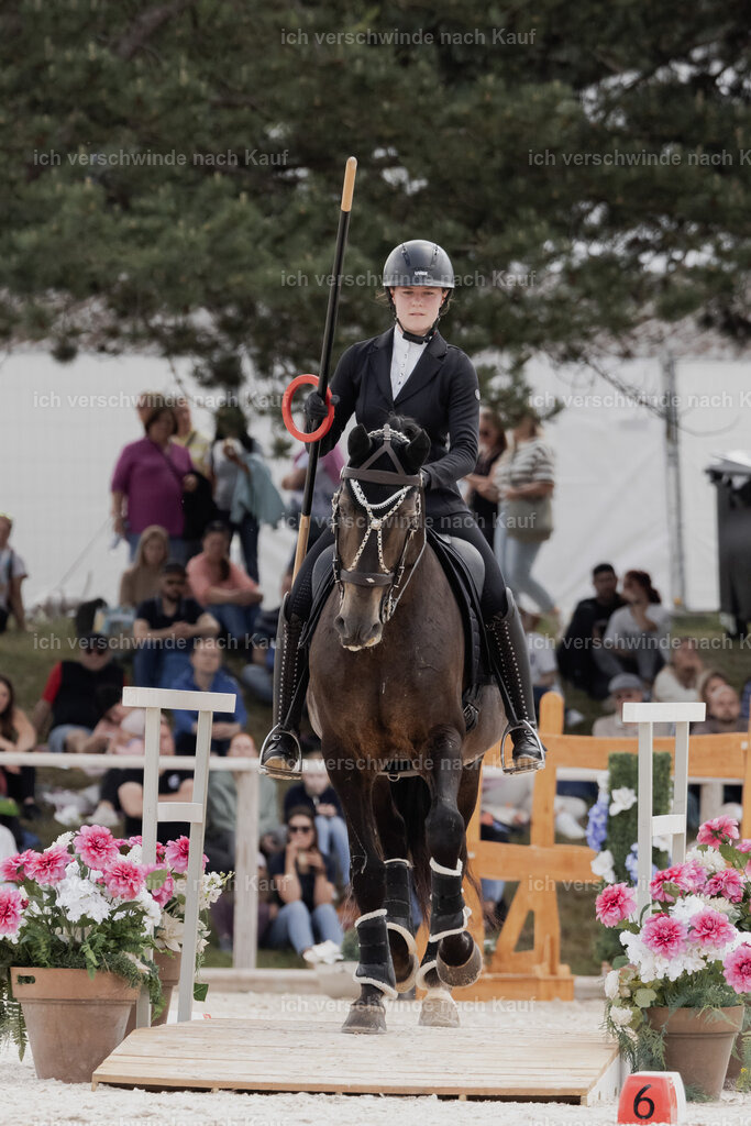 WE_ST_Stoib_309_PI2025_969 | Pferd International München 2025