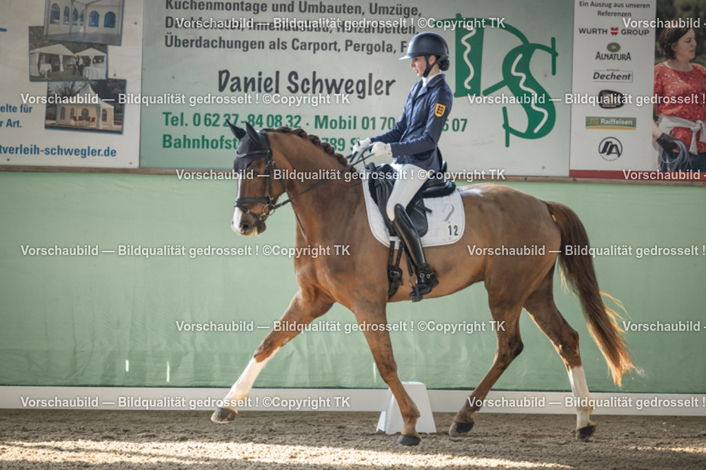 _D5A0598 | Emotionale Pferde- & People-Fotografie rund um Heidelberg, Leimen & Umgebung. Natürliche Fotos von Pferd, Mensch & Familie. Jetzt Termin sichern!