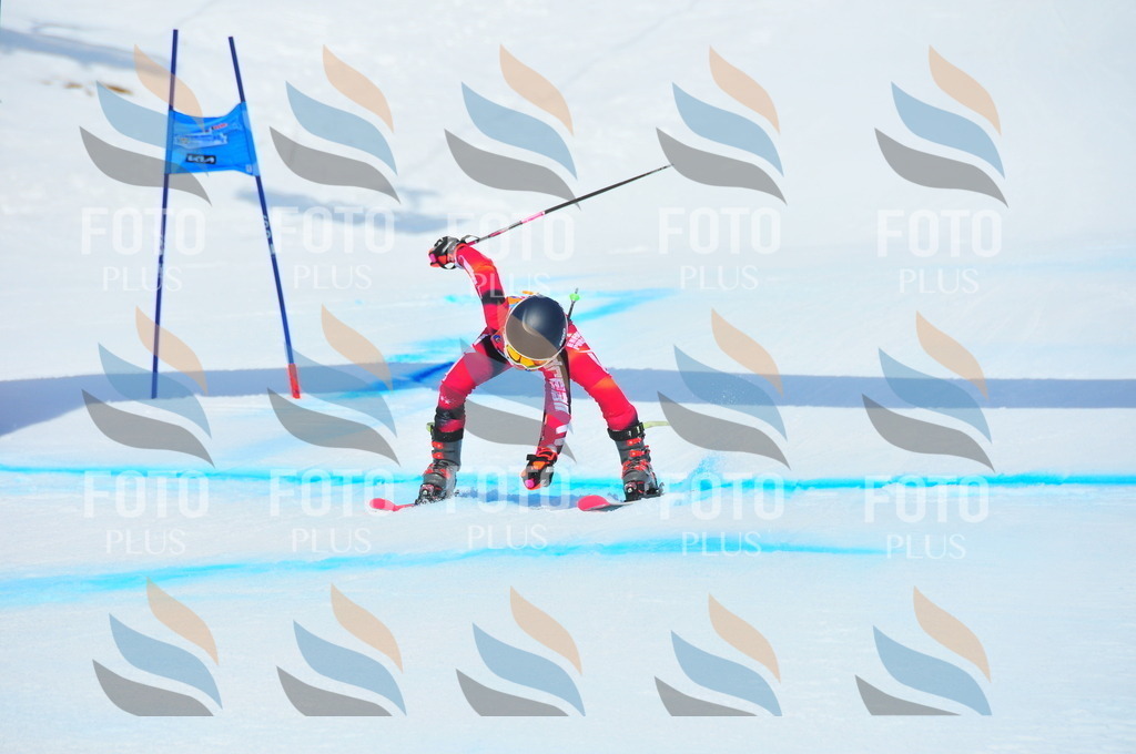 DSC_5654 | holidayphoto