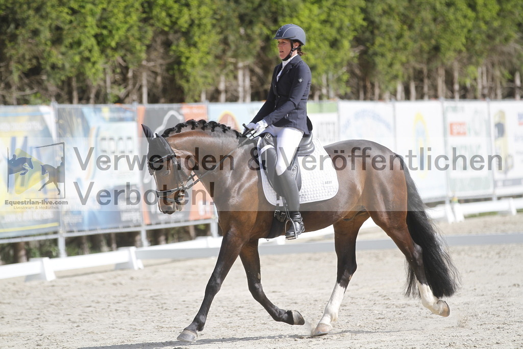 _MG_8494 | equestrian-live-com
