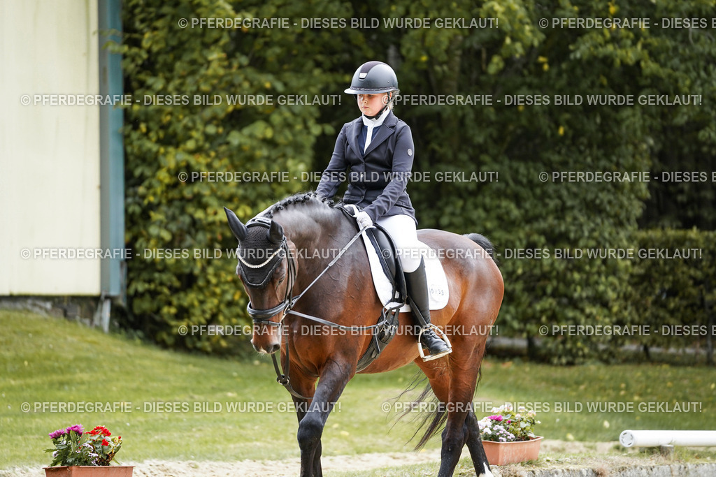 DSC04250 | Pferdegrafie